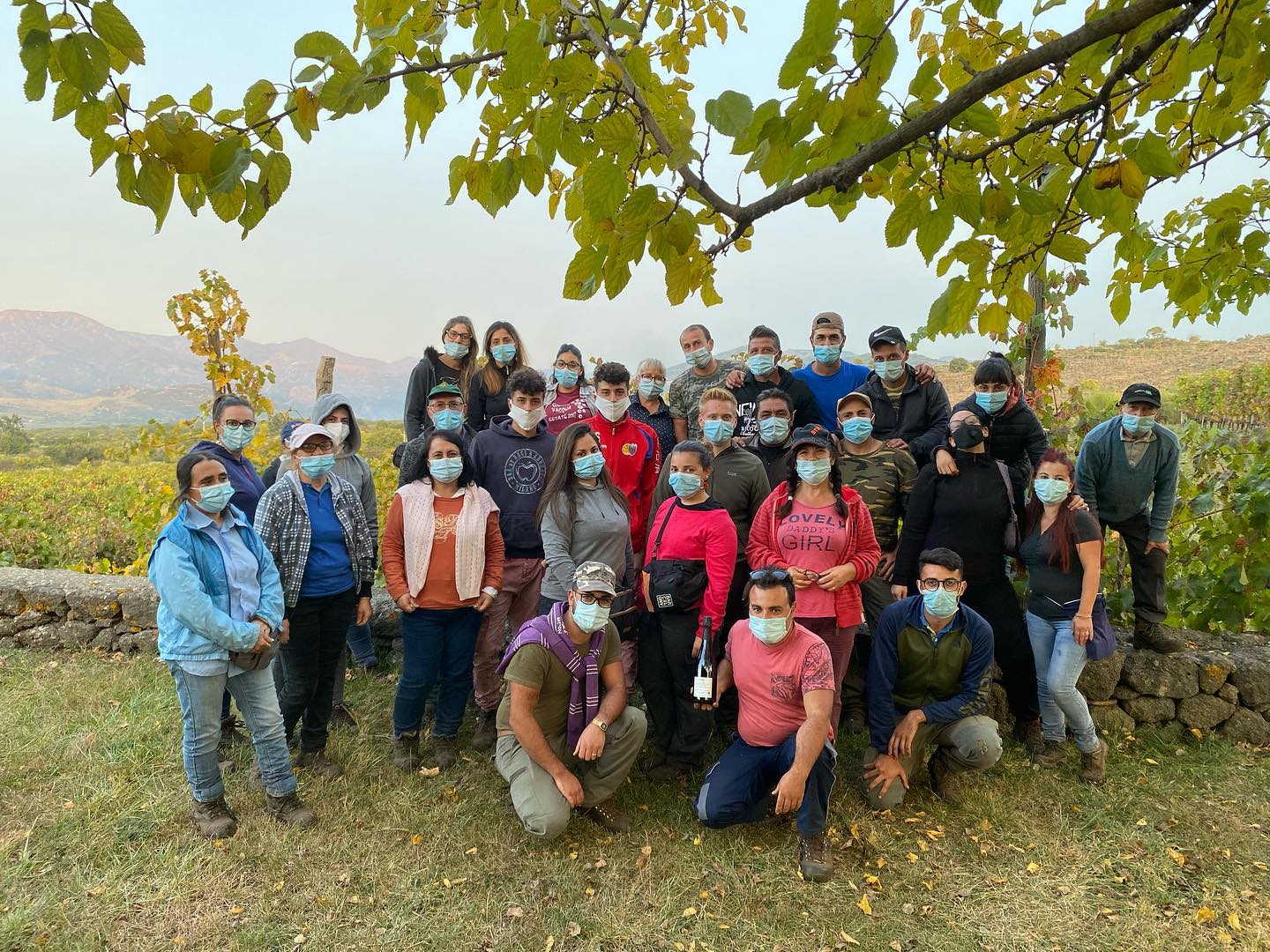 Frank Cornelissen 2020 Harvest Crew, masked for COVID