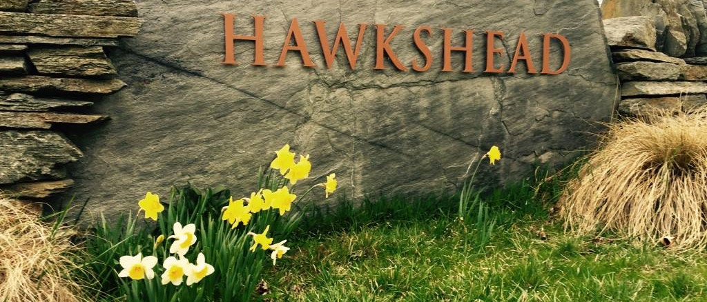 Hawkshead's six fantastic 5-star wines