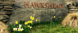 Hawkshead's six fantastic 5-star wines