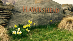 Hawkshead's six fantastic 5-star wines