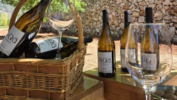 Bottles of Château Marsyas Wines outside in the Levant vineyards