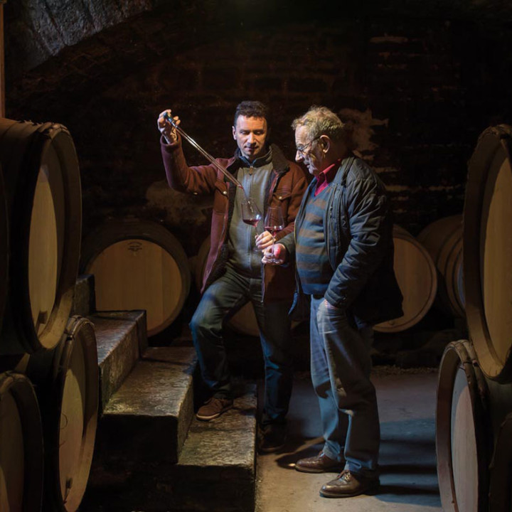 Men tasting wine in barrel room