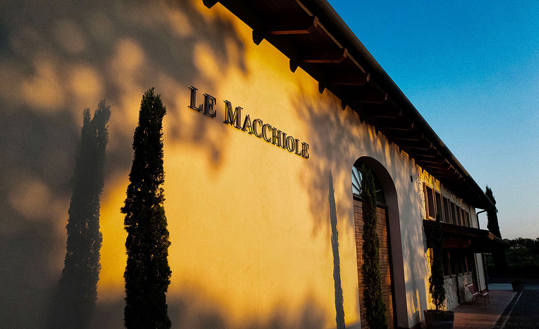 Le Macchiole - The Super Tuscan Superstar - Dhall u0026 Nash Fine Wines