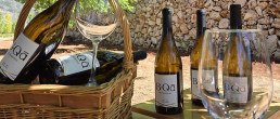 Bottles of Château Marsyas Wines outside in the Levant vineyards