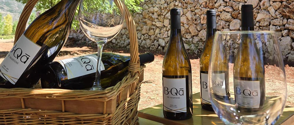 Bottles of Château Marsyas Wines outside in the Levant vineyards