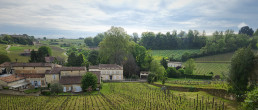 Château Ausone, Bordeaux