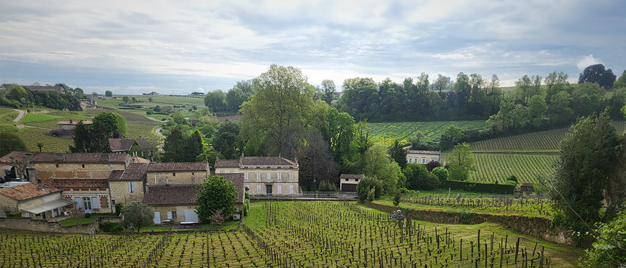 Château Ausone, Bordeaux