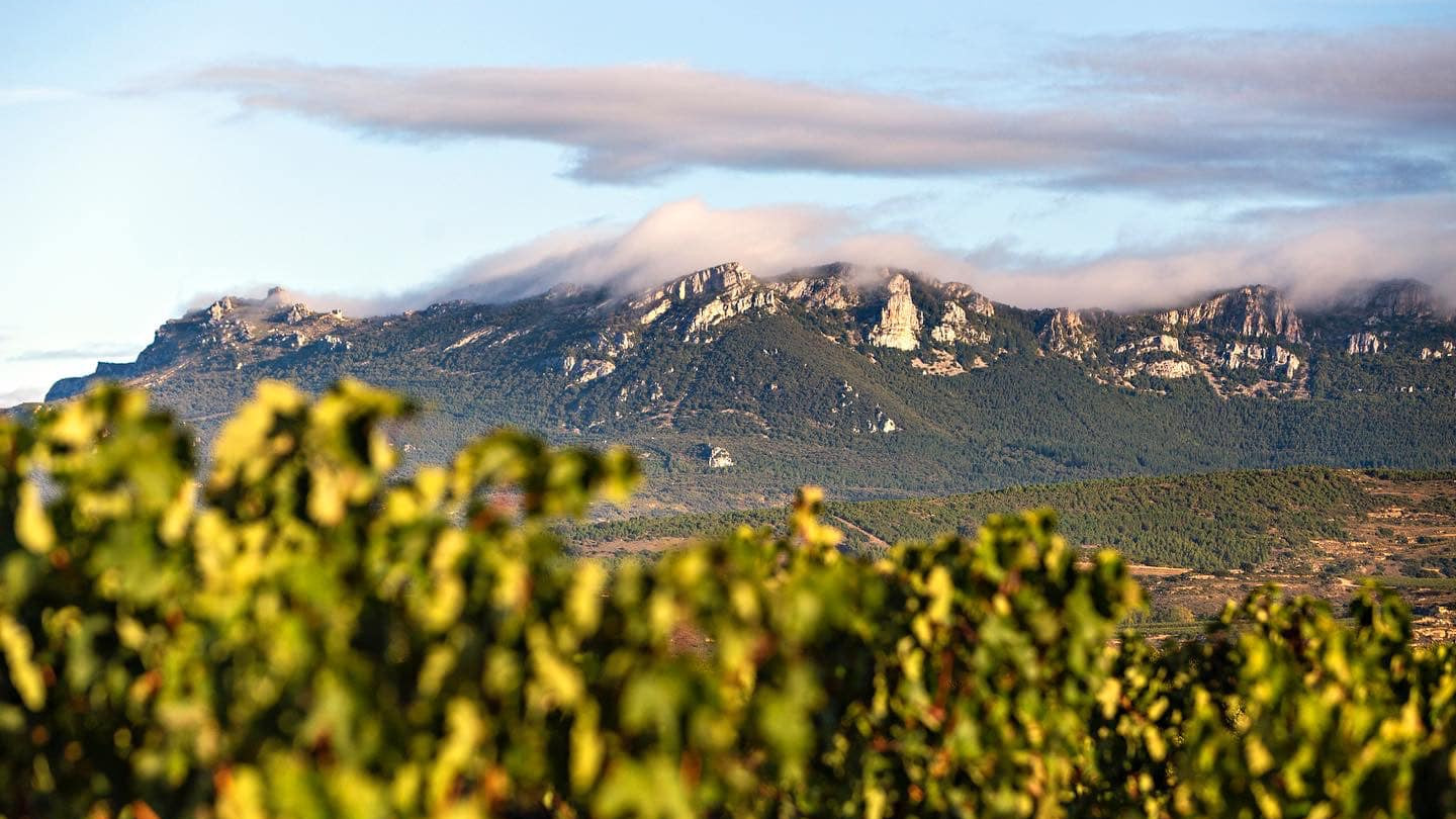 The view from Bodegas y Viñedos Leza García