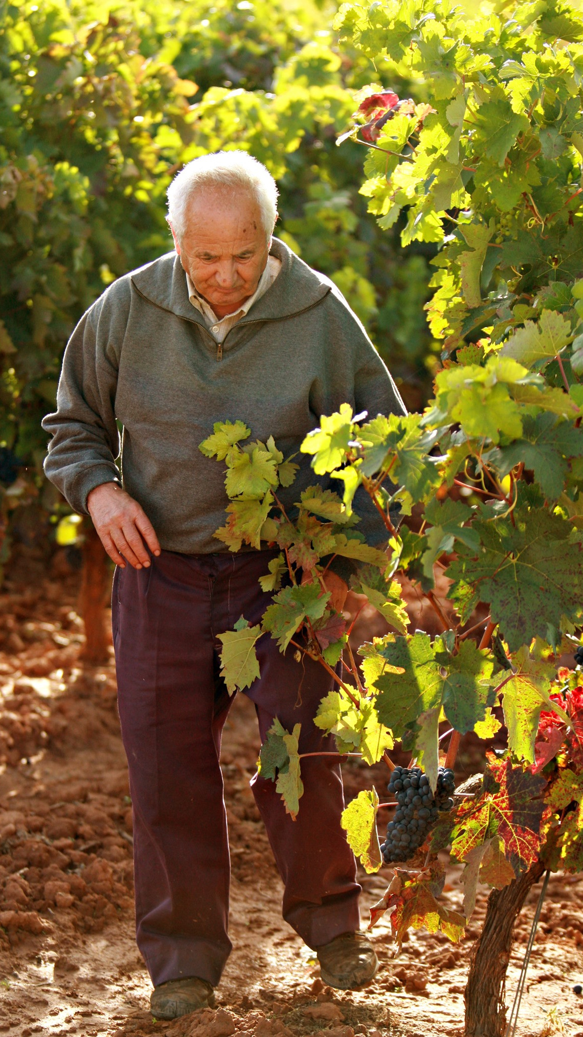 Leza García of Bodegas y Viñedos Leza García